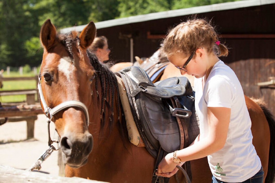 Reiten//in Marienau Bild 1